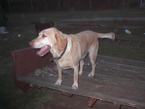 After removing the left side panel TJ the Motor Pool Sargent looks over the work to ensure its done to HIS standards.